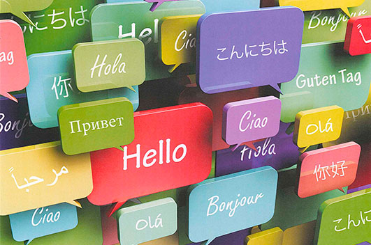 Dades curioses sobre els idiomes