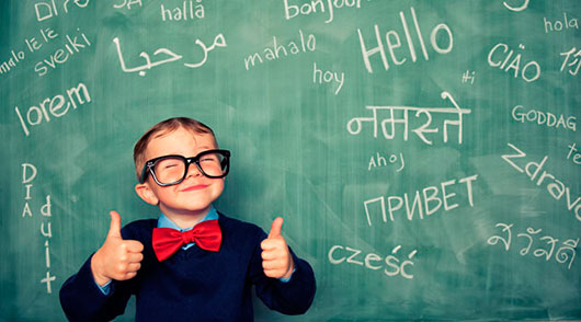 Factors que influeixen a l'aprenentatge de idiomes